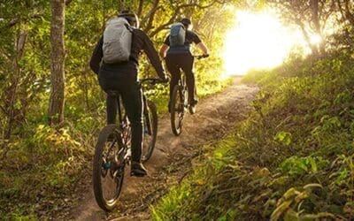 21 Essential Bike Hydration Packs and Water Bottles for Your Next Mountain Adventure