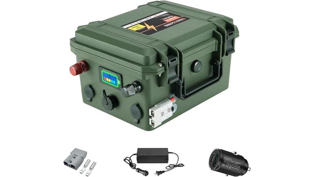 12v 100ah lifepo4 review