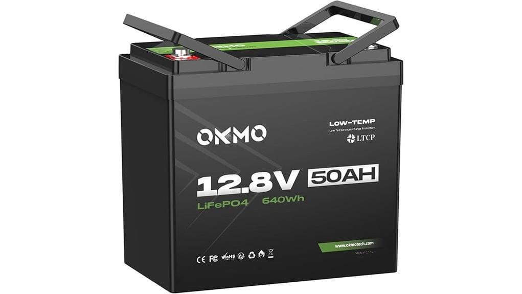 affordable compact marine battery