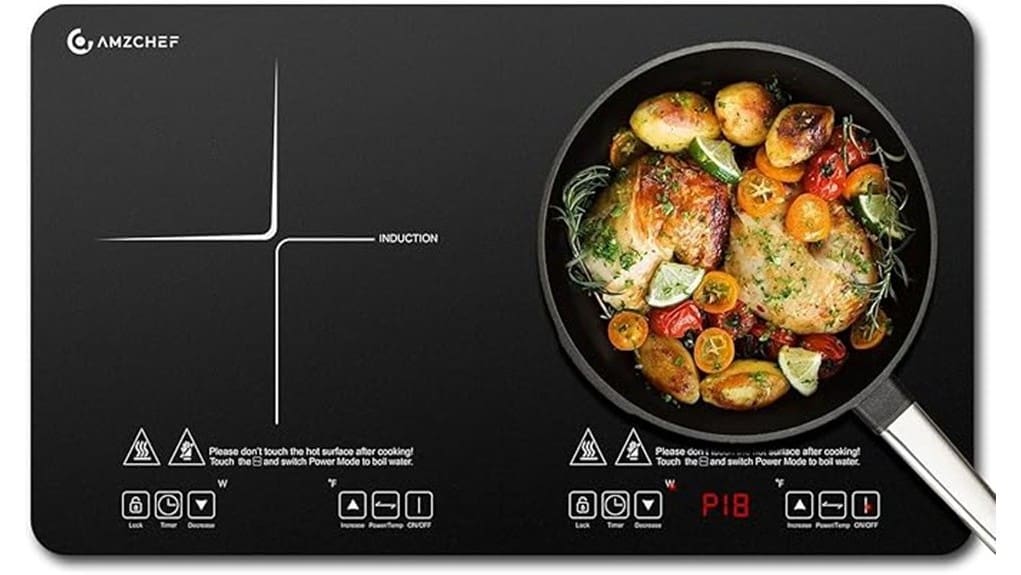 compact dual burner induction cooktop