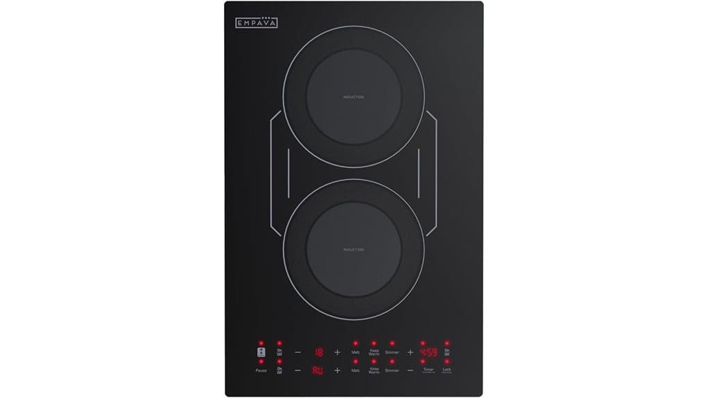 compact dual burner induction cooktop