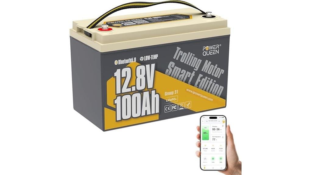 high capacity group 31 battery
